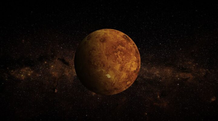 Vênus em Cada Signo: O Que Revela Sobre Seu Amor e Seus Valores