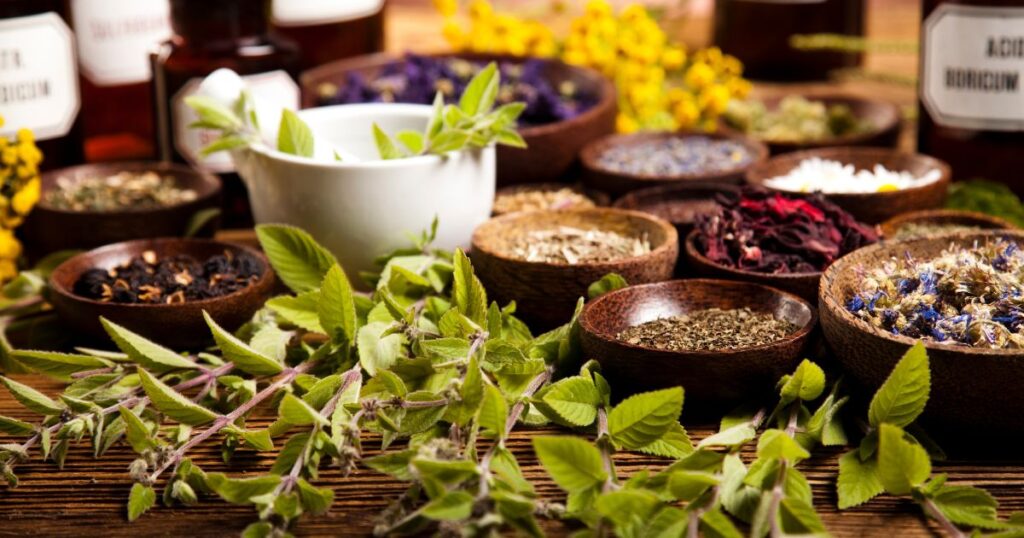 o que é fitoterapia e para que serve guia completo para iniciantes