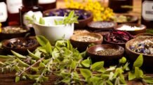 O Que é Fitoterapia e Para Que Serve: Guia Completo para Iniciantes