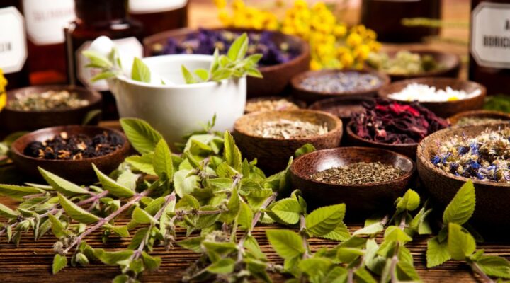 O Que é Fitoterapia e Para Que Serve: Guia Completo para Iniciantes